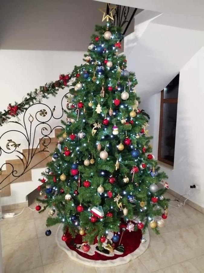 Hotel La Casa Alana Viseu de Jos Esterno foto